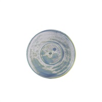 Click for a bigger picture.Terra Porcelain Seafoam Saucer 14.5cm